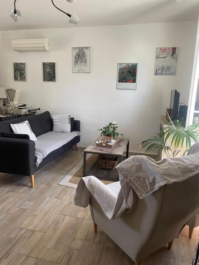 Appartement Avec Jardin En Ville LʼIsle-sur-la-Sorgue Εξωτερικό φωτογραφία